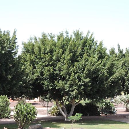 Bungalow Del Sol Maspalomas Apartment Маспаломас Екстериор снимка